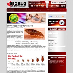 Bed Bug-web design