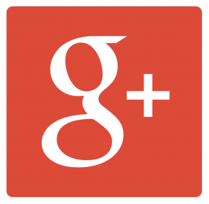 Google Plus Management