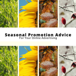 Seasonal Promotion
